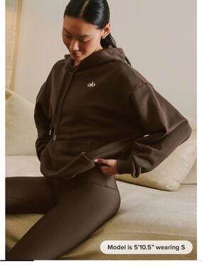 ALO Yoga Brown Pullover Hoodie with Logo accolade